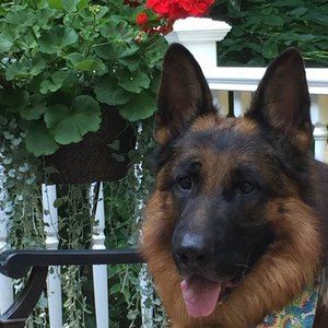 Meet your Posher, Andrzej